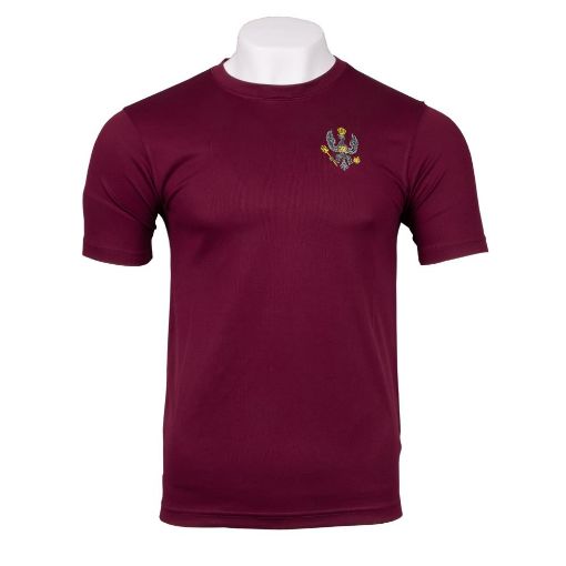 Picture of The King's Royal Hussars PT Shirt