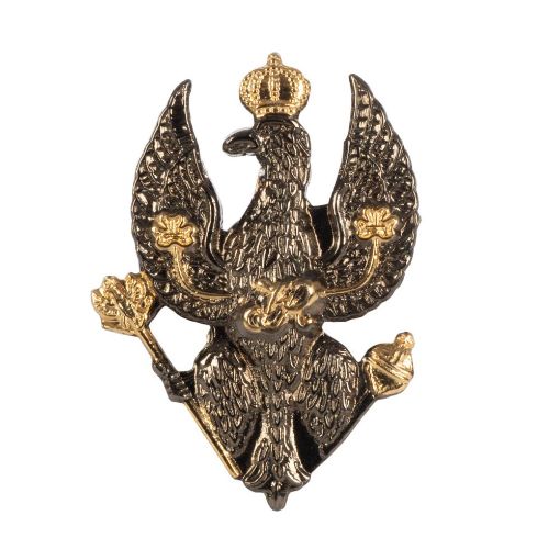 Picture of The King's Royal Hussars Lapel Pin - Black - Plastic Box
