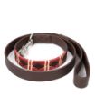 Picture of KRH - Dog Lead - 1.2m (4ft) long and 2.5cm (1" wide) 