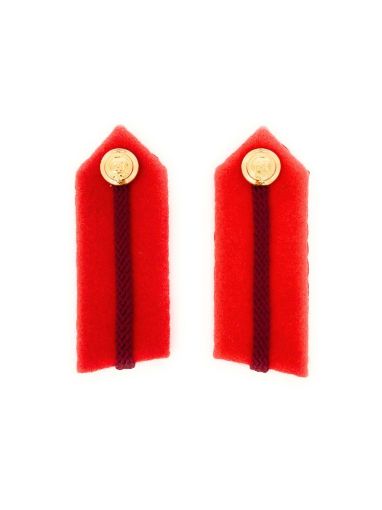Picture of Staff Officer Gorgets - Brigadier & Colonel - Nos 2 & 4 Dress (Left & Right)